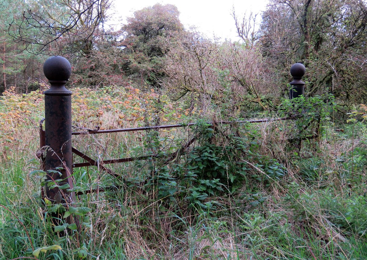 Brian Craig tweet media