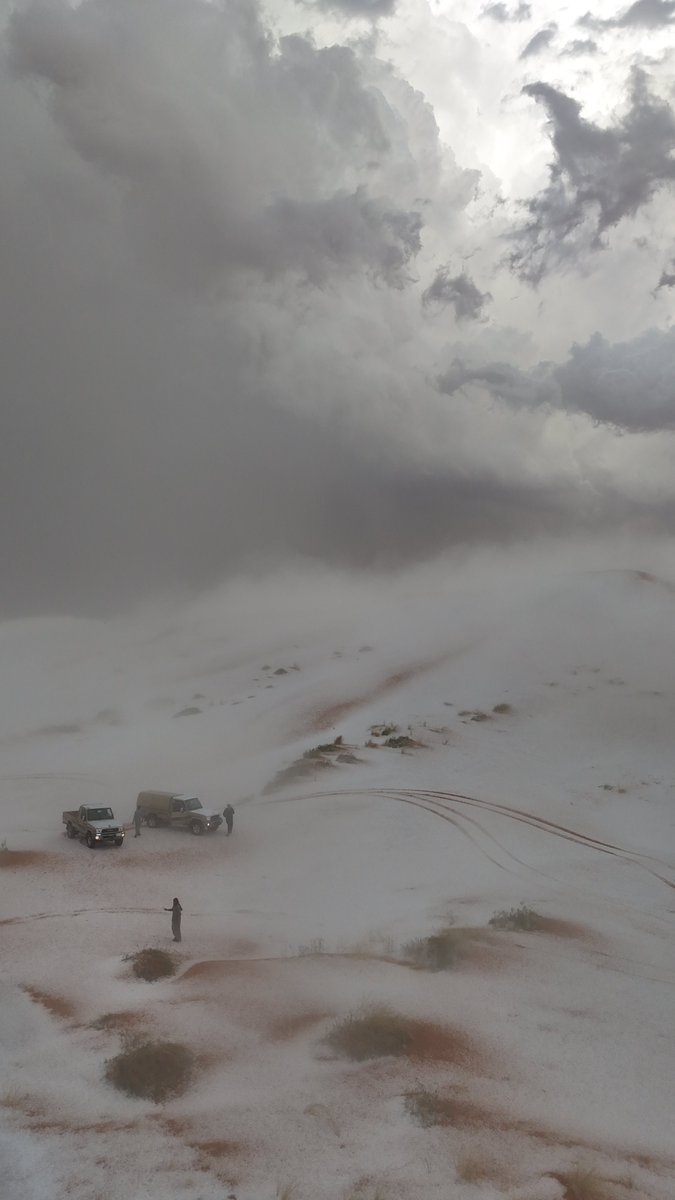 حمد السلوم tweet media