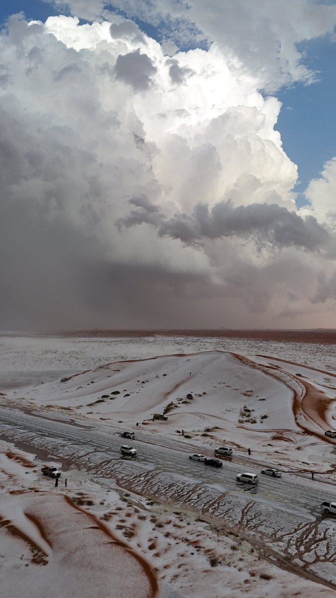 حمد السلوم tweet media