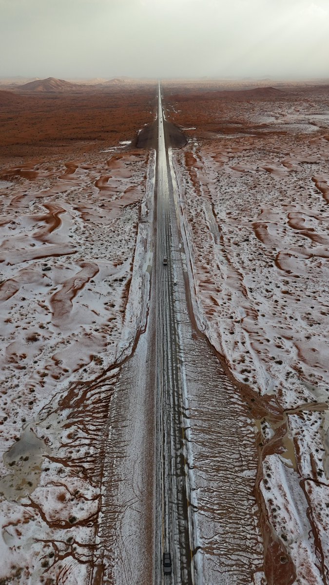 حمد السلوم tweet media