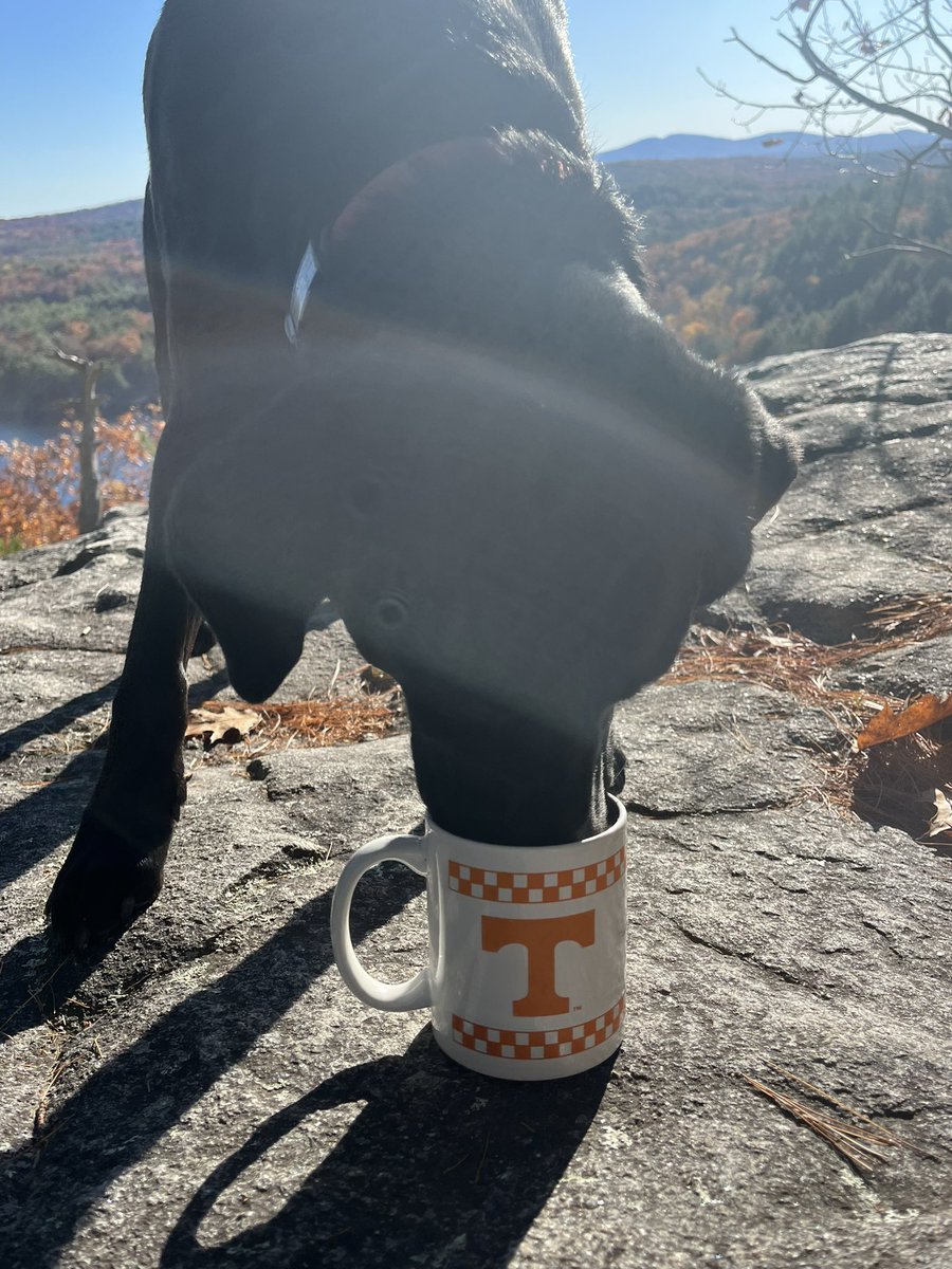 OtherMissingMug's tweet photo. Fall Fun! https://t.co/5nn0T5FbUN