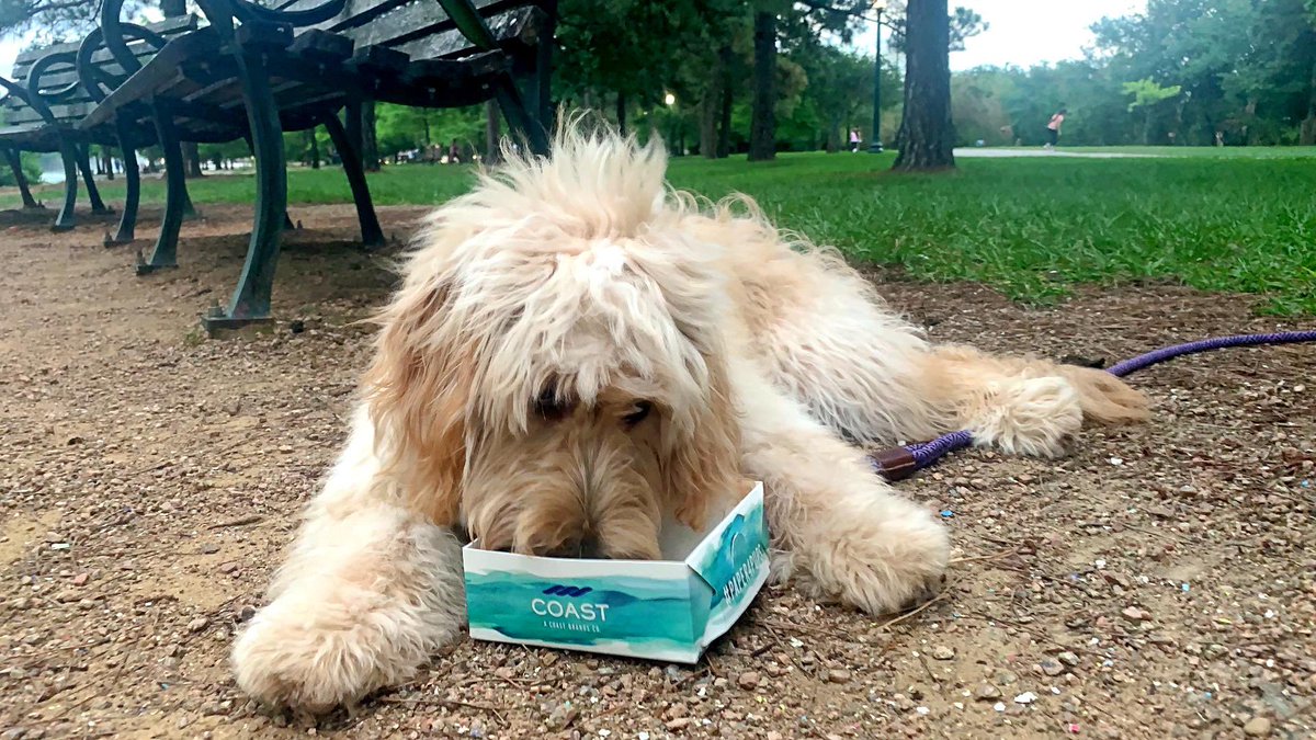 coastbrands's tweet photo. To-Go Dog Bowls. 

Perfect for any daily, weekend or week long adventure! 
#dog #dogsofX #dogproducts #dogbowls #togodogbowls #AmericanMade #madeintheusa #SmallBusiness https://t.co/Rdh9k1FZVp