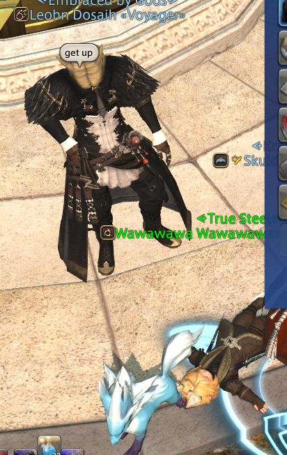 wawa_xiv's tweet photo. #ffxi_ap the lehkos communicating... https://t.co/NWdeVfHliK