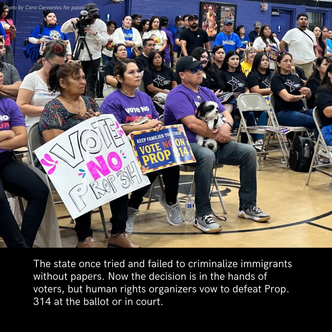 𝚙𝚊𝚕𝚊𝚋𝚛𝚊. tweet media