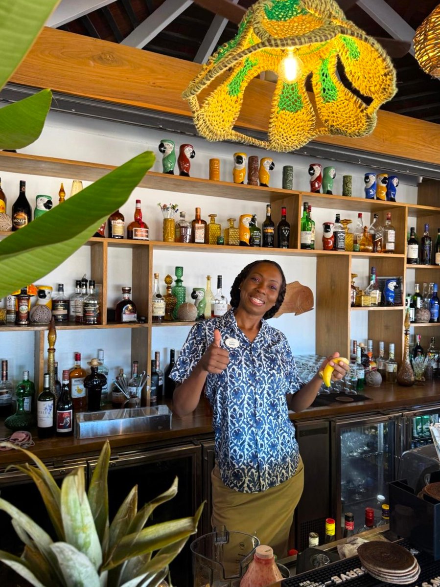 East Winds St Lucia tweet media