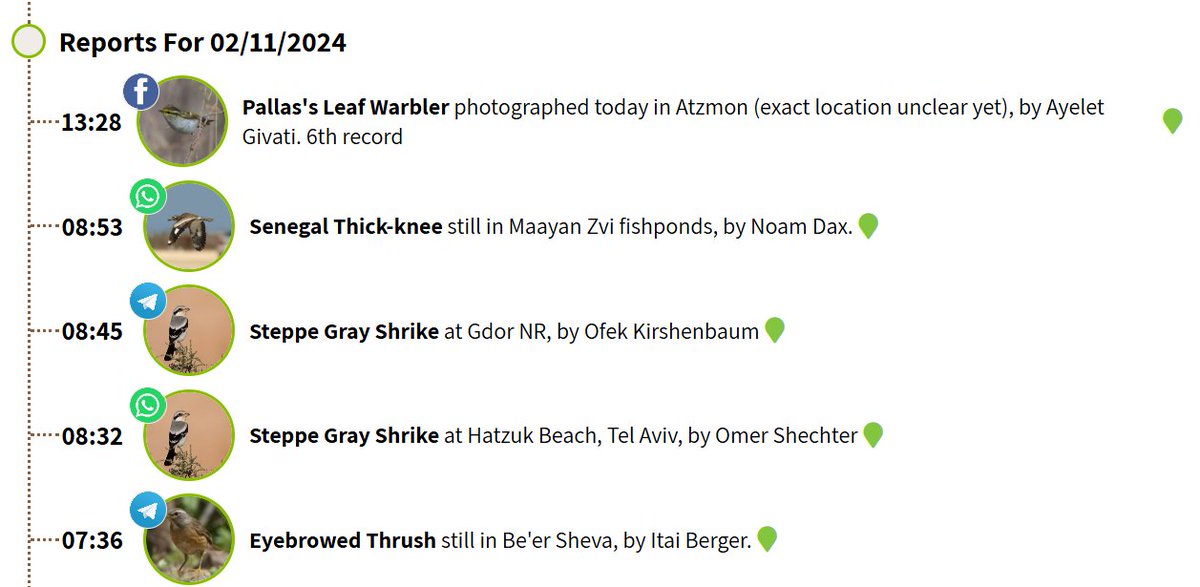 Busy birding in Israel today!
Daily-updated rarity news:
birds.org.il/en/rarityObser…