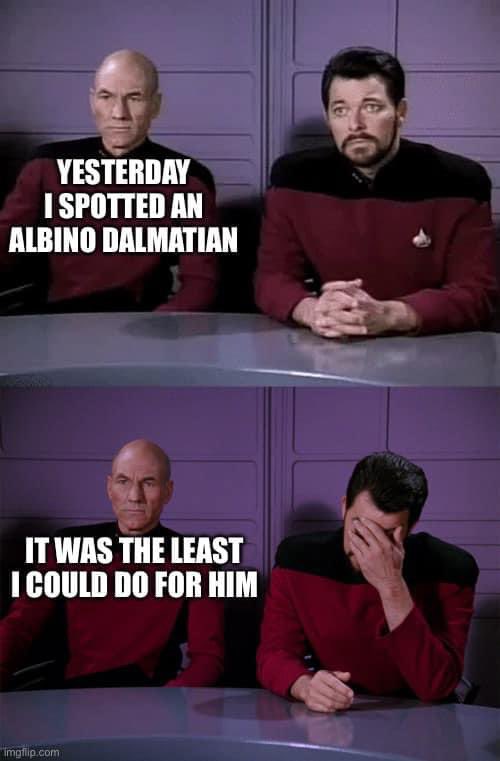 holodeckfour's tweet image. 