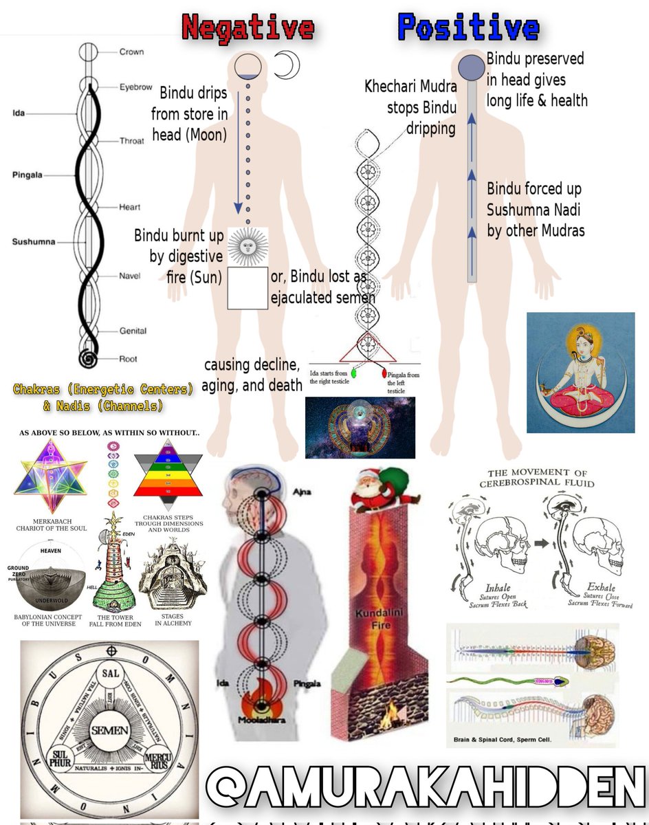 Sexual Transmutation Thread by @AmurakaHidden on Thread Reader App – Thread Reader App