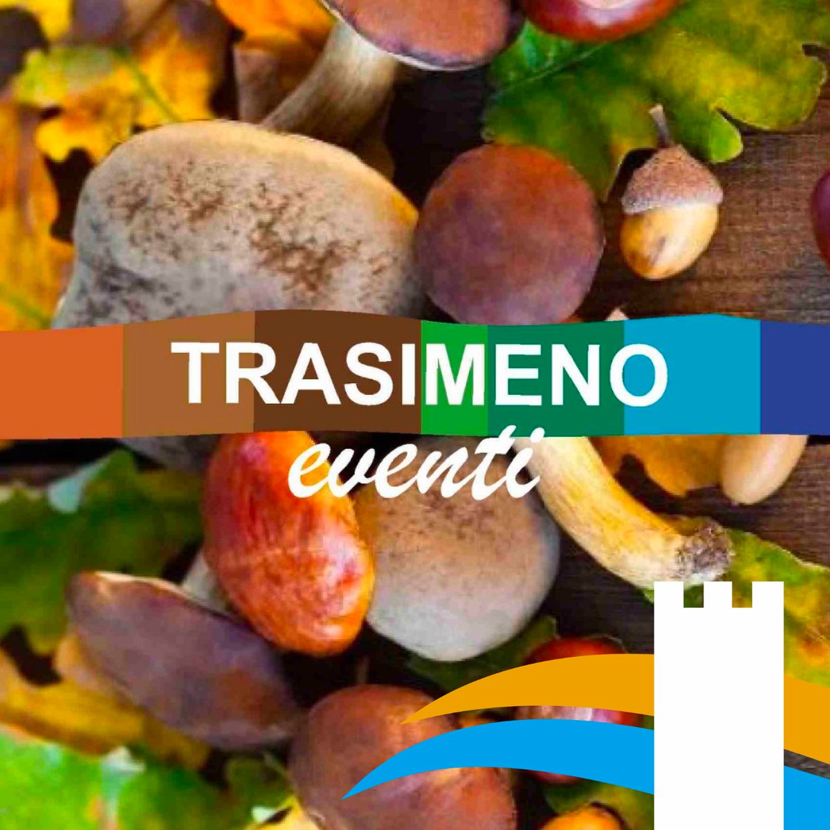 📅Hai già segnato in calendario i tuoi #eventi preferiti sul #Trasimeno?
Il Trasimeno ti aspetta con un ricco programma di iniziative.
Scopri tutti gli eventi sul nostro sito: trasimenoapp.com/eventi/eventi-…