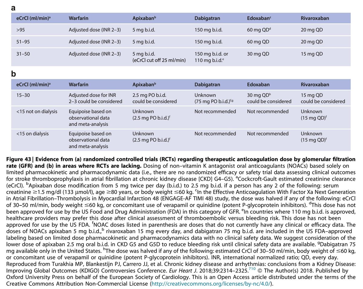 docakx's tweet photo. 🌟 ANTICOAGULATION IN CKD - 2024 KDIGO recommendations https://t.co/ttQhSJLc5f