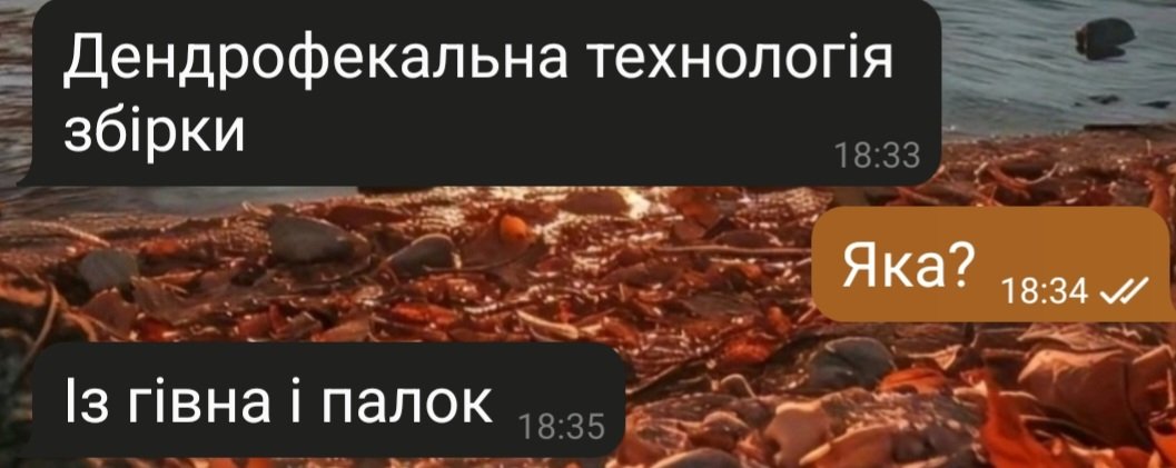 Livasasid's tweet photo. Чому я раніше цього не чула?😅 https://t.co/s1jmD7SWLt