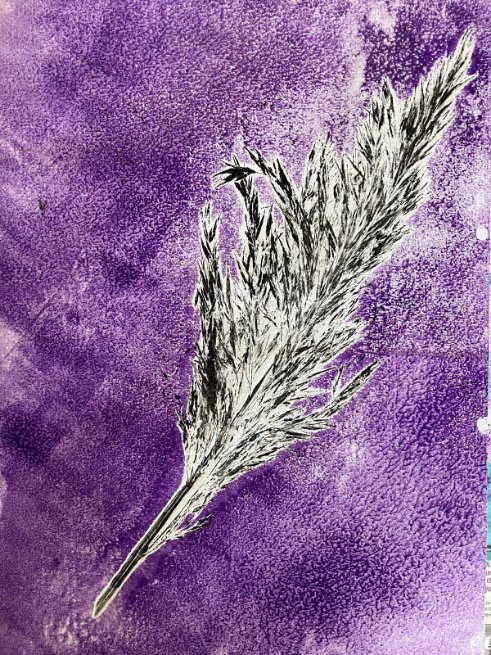 Wild East Devon tweet media