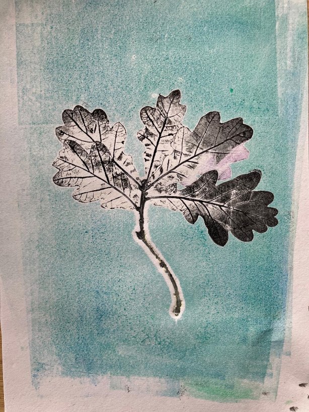 Wild East Devon tweet media