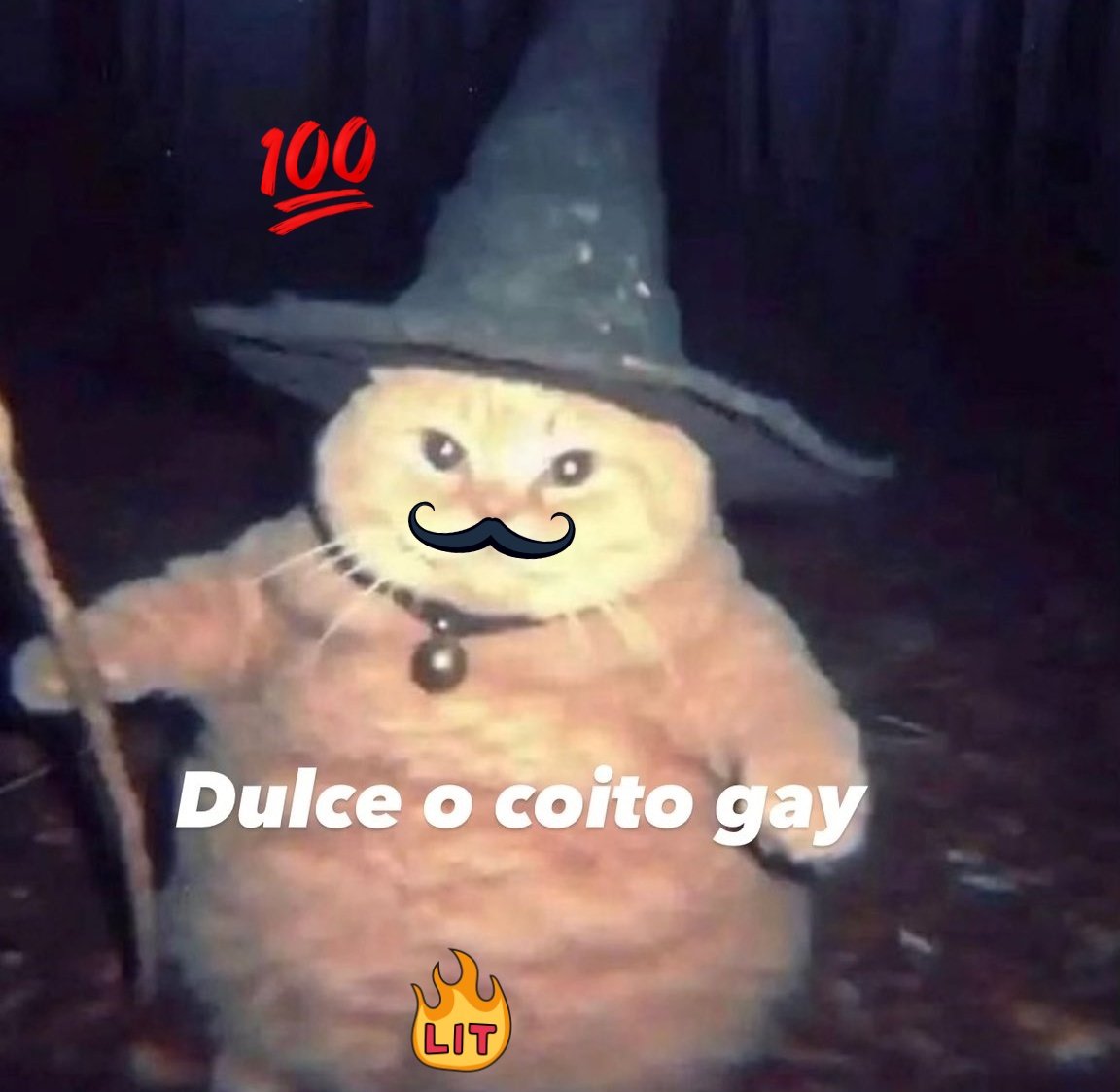 👻🔥😏👀🙌🏼💕
#Metepec #Toluca #TolucaGay #DulceOTruco #Heterosexual #Curioso #Bisexual #GayInter #GayIsOk #GayTwitter #GayX #DíaDeMuertos #LoQueQuierasQuiero