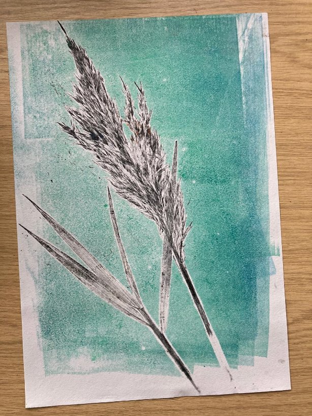 🌿 Last weeks <a href="/age_uk/">Age UK</a> joined us for a morning of printing pressing leaves they found around #seatonwetlands. And look at the results!!

Thank you to our ranger Penny for coming up with these amazing ideas and getting these lovely folk out socialising and connecting with nature.