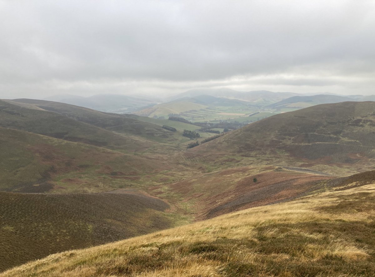 Astonishing amount of tree planting at Broughton in the #ScotBorders . (Photo needs a click to see the lines running down every slope). 
Such a change since I was last here 2 years ago and  it’ll be totally transformed  in another few years.