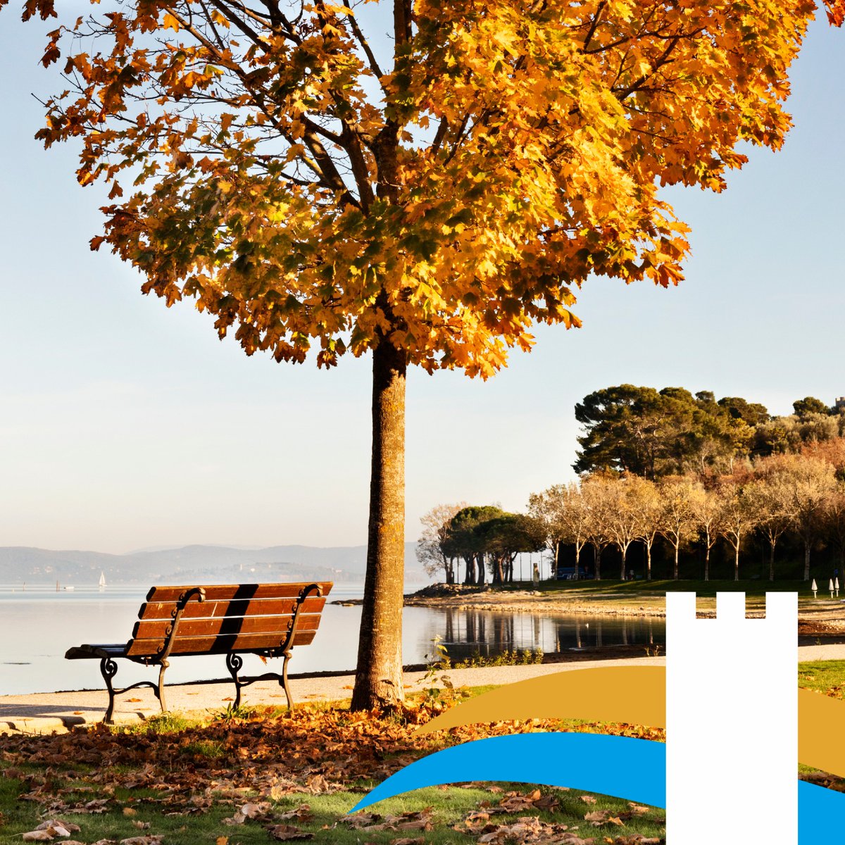 Immaginatevi di prendervi un momento per rilassarvi su una panchina con vista lago per godervi la bellezza della natura circondati da foglie dorate. Scoprite i colori del Trasimeno, un angolo di paradiso dove il tempo sembra fermarsi.
Visitate il #Trasimeno in #autunno! 🍂