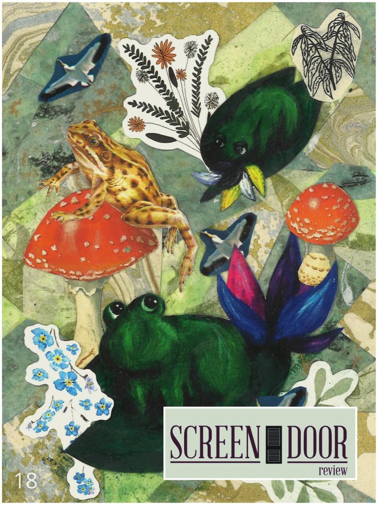 Issue 18 is live! Go on &amp; fall in love with it! We did! 🥰

screendoorreview.com/issue-18/