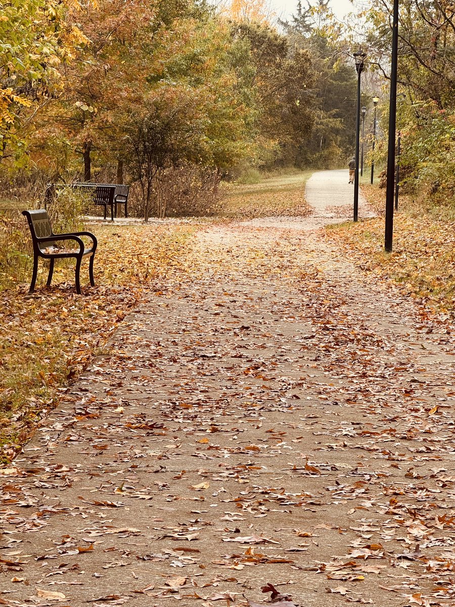 CarneAsada74's tweet photo. Morning walks #TennesseeFall 🍂🍁 https://t.co/AteeWI66bs