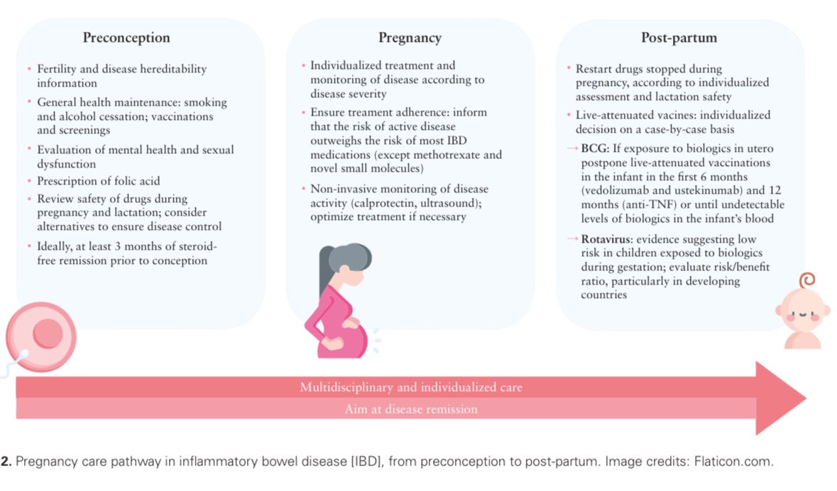 Beatriz Gros (@bealoquebea) on Twitter photo Navigating Reproductive Care in Patients With #IBD
Fantastic review by <a href="/PaulaCRFSousa/">Paula Sousa</a> <a href="/jp_gisbert/">Javier P. Gisbert</a> <a href="/ChristianSelin3/">Christian Selinger</a> <a href="/JulsgaardMette/">Mette Julsgaard</a> <a href="/maria_chs/">Maria Chaparro</a>
At <a href="/JCC_IBD/">Journal of Crohn's and Colitis</a>
academic.oup.com/ecco-jcc/artic… Navigating Reproductive Care in Patients With #IBD
Fantastic review by <a href="/PaulaCRFSousa/">Paula Sousa</a> <a href="/jp_gisbert/">Javier P. Gisbert</a> <a href="/ChristianSelin3/">Christian Selinger</a> <a href="/JulsgaardMette/">Mette Julsgaard</a> <a href="/maria_chs/">Maria Chaparro</a>
At <a href="/JCC_IBD/">Journal of Crohn's and Colitis</a>
academic.oup.com/ecco-jcc/artic…