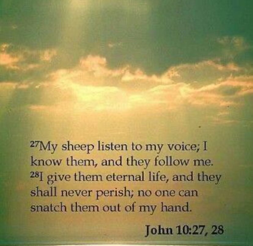 My sheep listen …
✝️1825✝️ <a href="/noreen05291/">IGotYourSix</a>
@sybscorner
<a href="/LatinaPatriotPR/">Isla del Encanto 🇵🇷</a> @RondaR3023
<a href="/TurnSeattleRed/">🇺🇸STOP SEATTLE DEMs 2025🇺🇸</a>
<a href="/Grace_Saved_By/">Grace_Saved_By</a>
<a href="/Mlgeorgia69/">MLGeorgia 🇺🇸🇺🇸🇺🇸🙏✝️</a>
<a href="/1sharecropper/">Short Circuit</a>
<a href="/unwdjhn/">FLYHIGH🦅🇺🇸</a> <a href="/LionCubDeb/">LionCub Deb</a> @jessies_now <a href="/stevealex140/">The Hunt Team patriots</a> <a href="/EndRaceHating/">Linda Hale 🇺🇸⭐🇺🇸 Never Give Up</a> <a href="/Merica197138/">Merica 🦋💞</a> <a href="/DbbTom/">DBB TOM</a> <a href="/floridadragon20/">Renee Hoffman</a> <a href="/kastfan1/">PatriotKast</a> <a href="/AnnOGrady17/">Ann O Grady</a> <a href="/Jay_Jallette/">Jay Jallette</a>