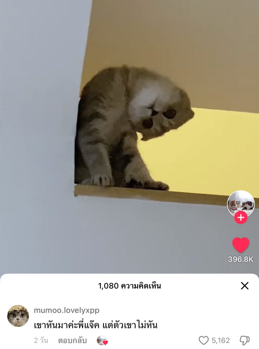 พี่แจ็คคะ เรื่องมันมีอยู่ว่า …