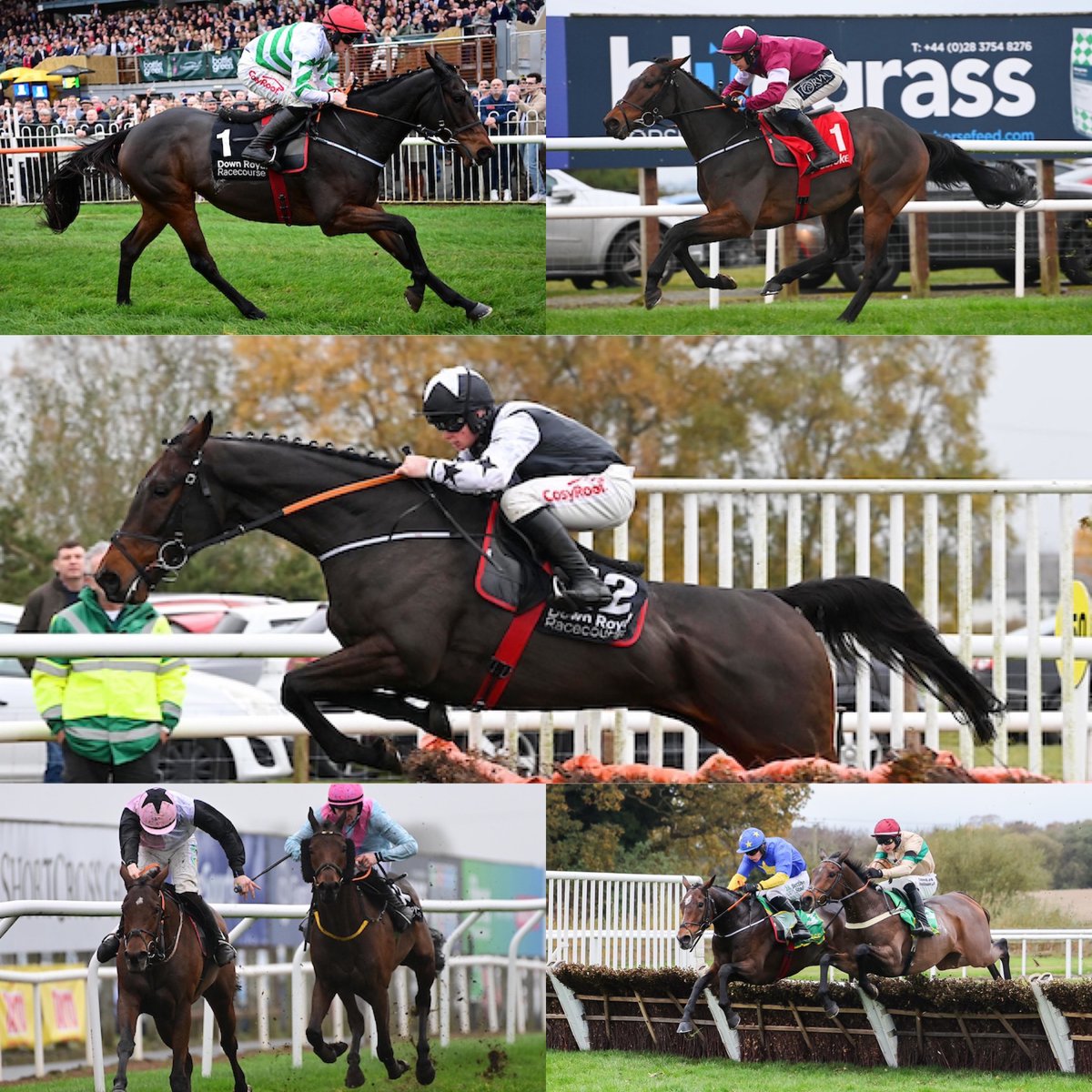 gelliott_racing's tweet photo. Delighted to pick up a fiver timer today between @Downroyal &amp; @WetherbyRaces with Romeo Coolio, Kala Conti, Beacon Edge, Found A Fifty &amp; Classical Creek.

Congratulations @BectiveStud @KtdaRacing @BrianAcheson Gigginstown &amp; Cheeky Pups Syndicate 🏆

📸 Healy/Racing Post https://t.co/l06HO9aLTp