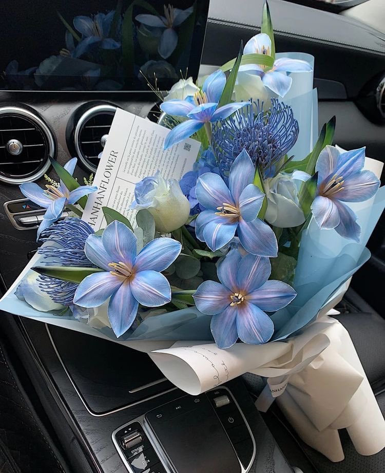 Blue open Tulips
