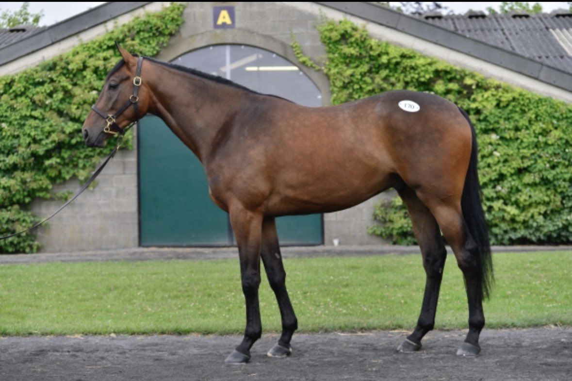 Mark Dwyer tweet media