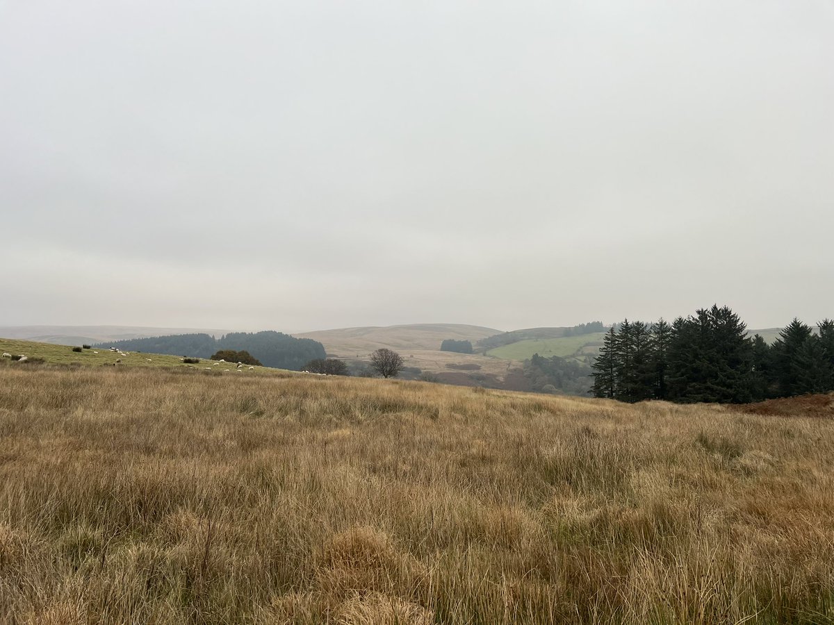 Richard Uffendell tweet media