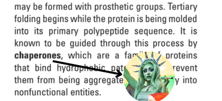 Vitangina25's tweet photo. Had a stupid idea while reading the material for physiology https://t.co/ylLADJ6VdA