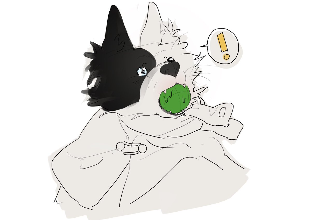 과한 원숭이 시기가 온 어린 케녹 ㅋㅋ