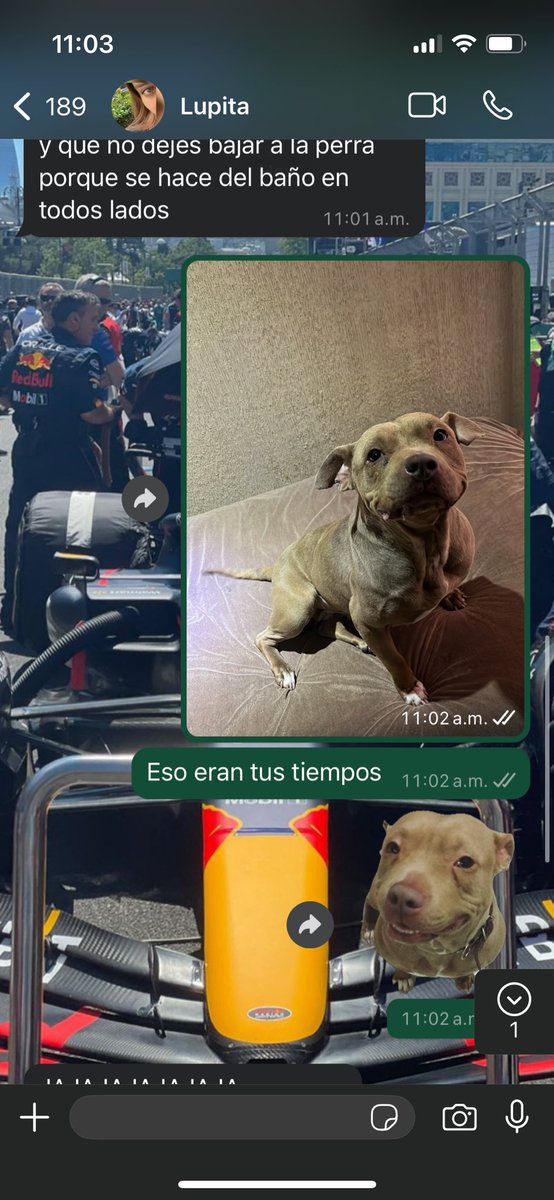 Jajajajjaa