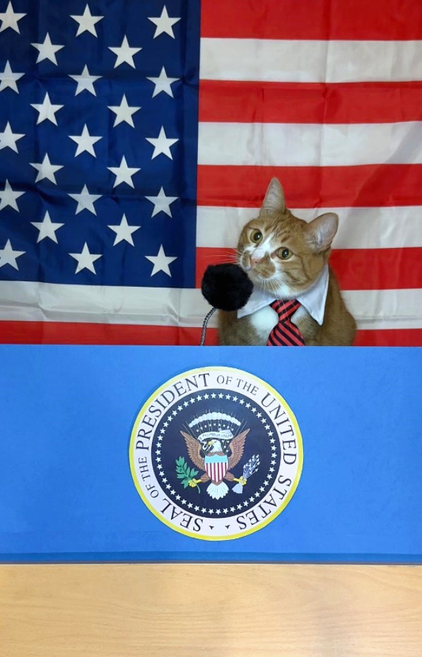 amcat_mama's tweet photo. I would like to express my sincere condolences on the loss of our dear squirrel Pnata and raccoon Fred.
Pnut $Pnut and Fred $Fred have left an indelible mark on our hearts.
With love and support,
Your American Cat President.
#MakeAmericaMeowAgain #solana #memecoin #pumpfun https://t.co/0r9AKbLSLV