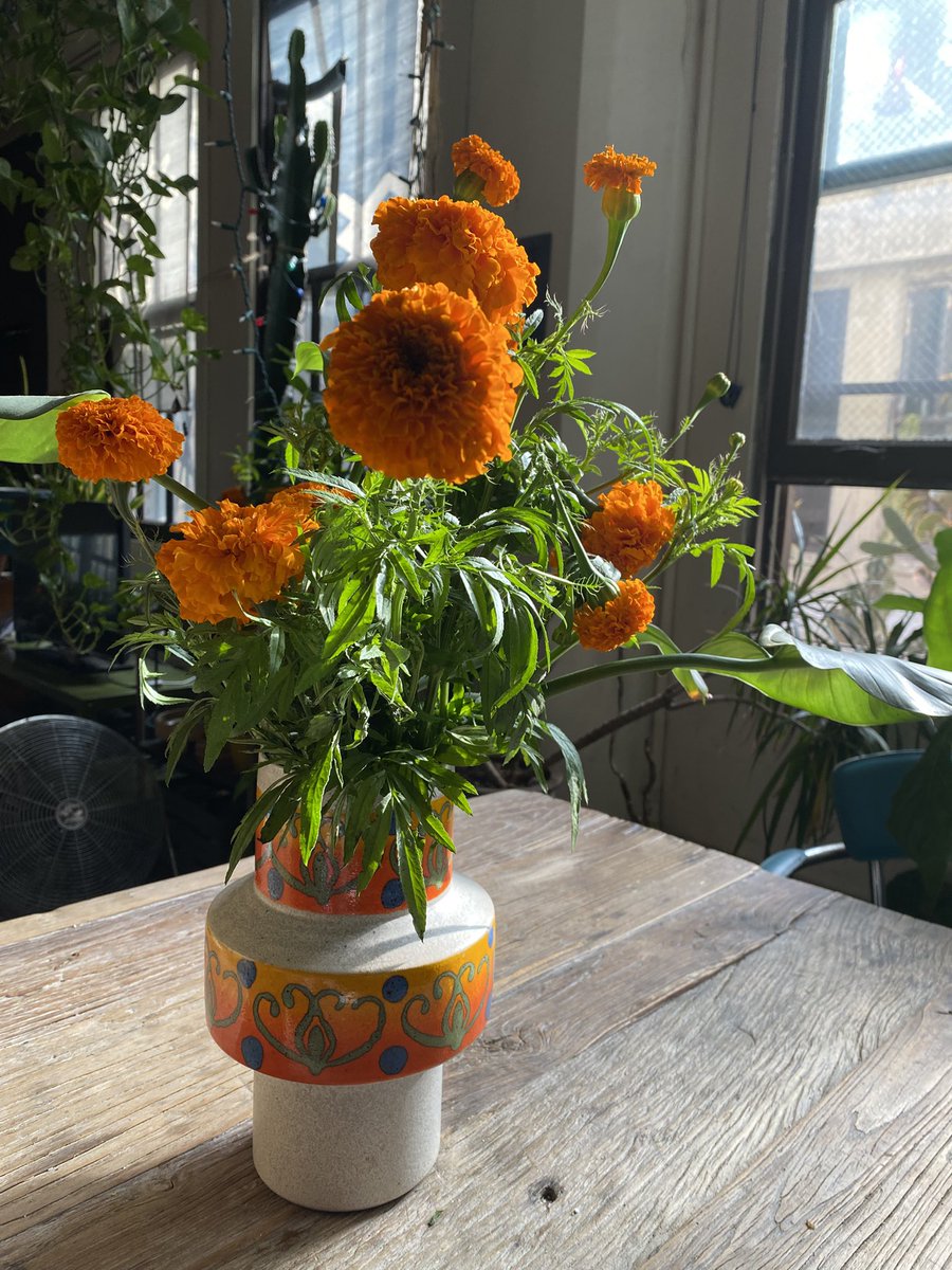 Dare Williams tweet media