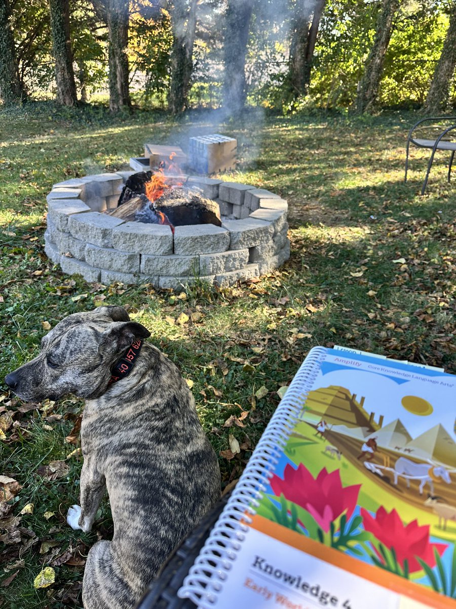 MrsAngel_WMES's tweet photo. Enjoying the beautiful fall weather while taking a quick look ahead at our next CKLA unit. 

#MCPS #watkinsmillelementary #CKLA #languagelearning #fallvibes https://t.co/QIIg8s9fUB