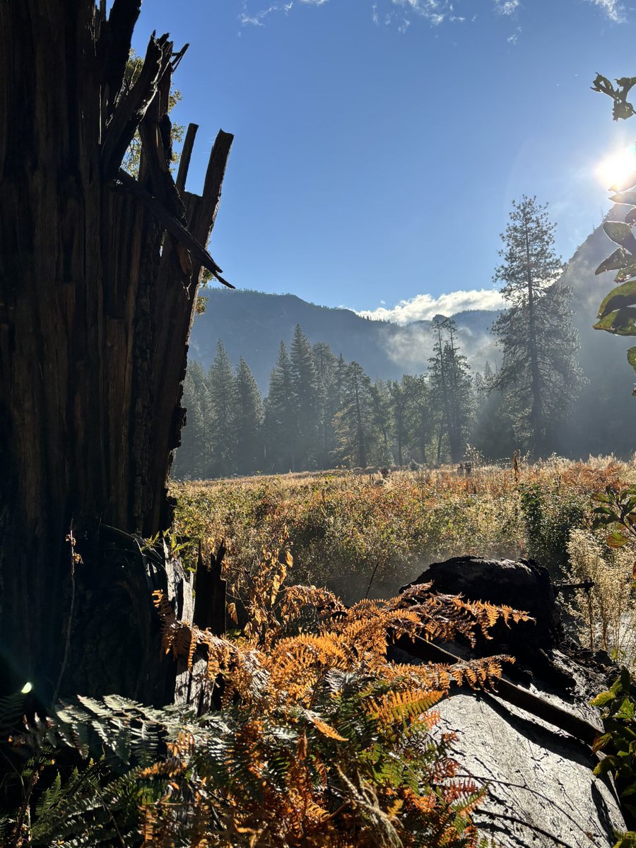 FaidenPlays's tweet photo. I love Yosemite. https://t.co/bn3xY2l3xR