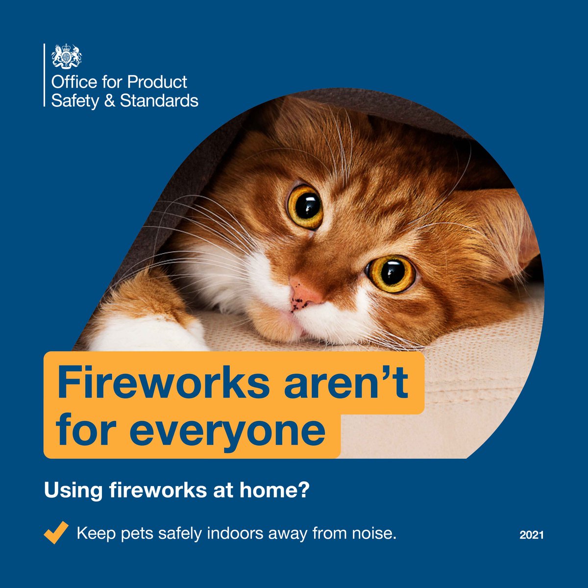 UKFireCadets's tweet image. Keep yourself, your friends, your family and your pets safe this bonfire night. #fireworksafety #keepsafe