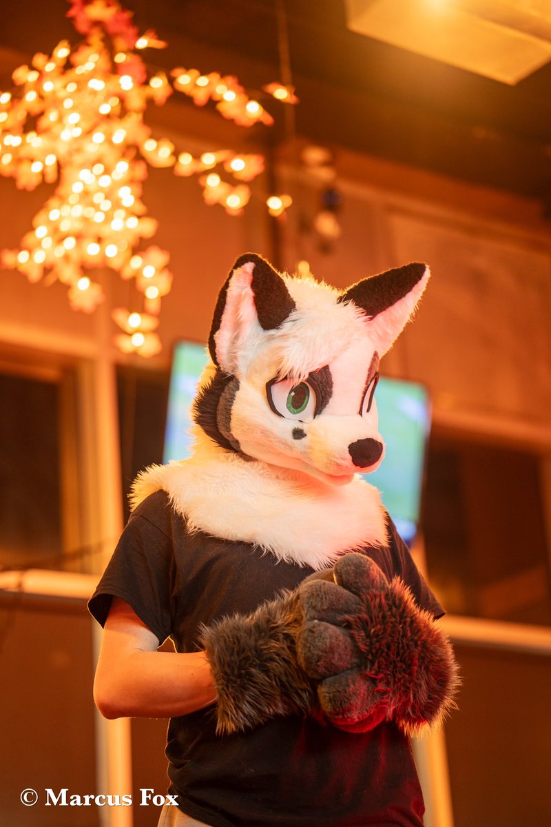 #furpoc