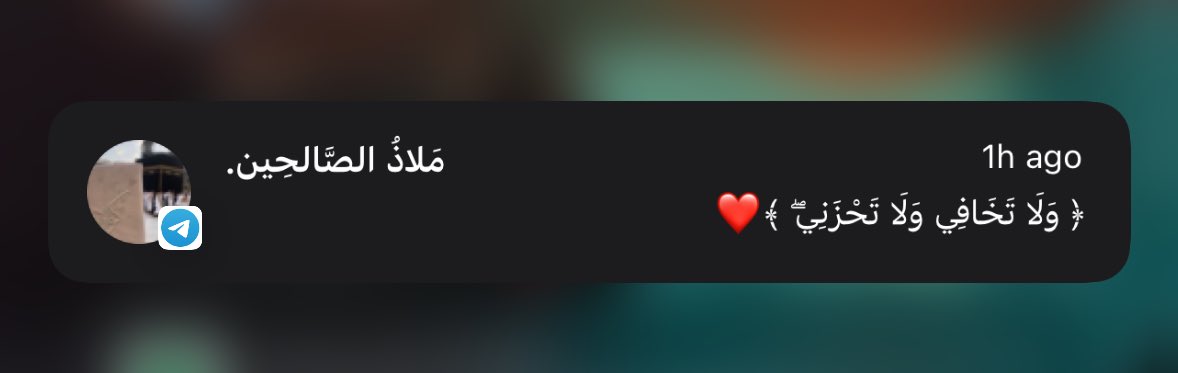 _MaryamSeyadi's tweet photo. 🤍🤍 https://t.co/nQhlEGsRAP