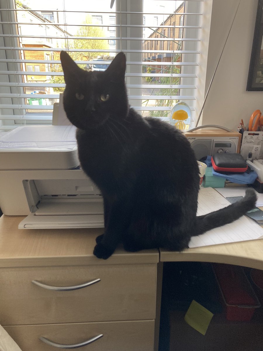 Philip Newman-Hall tweet media