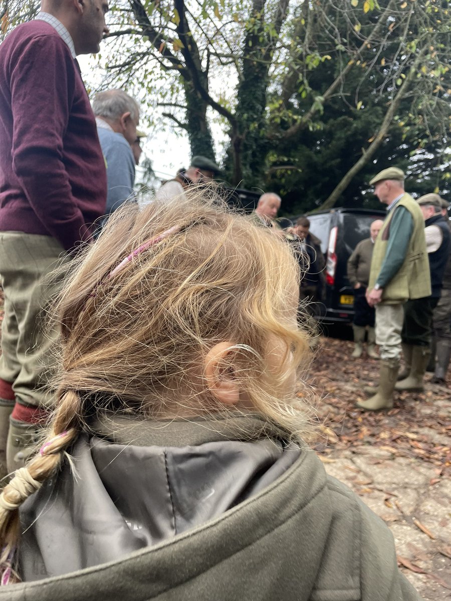 BerkshireSquire's tweet photo. Been out beating with my little mate today #tweetthebeat https://t.co/wIOpTKCWbn
