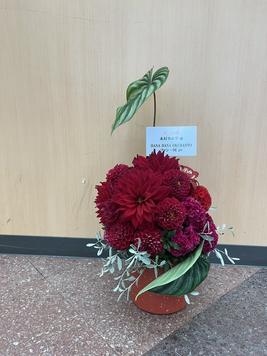 やじま@トロピカってる tweet media