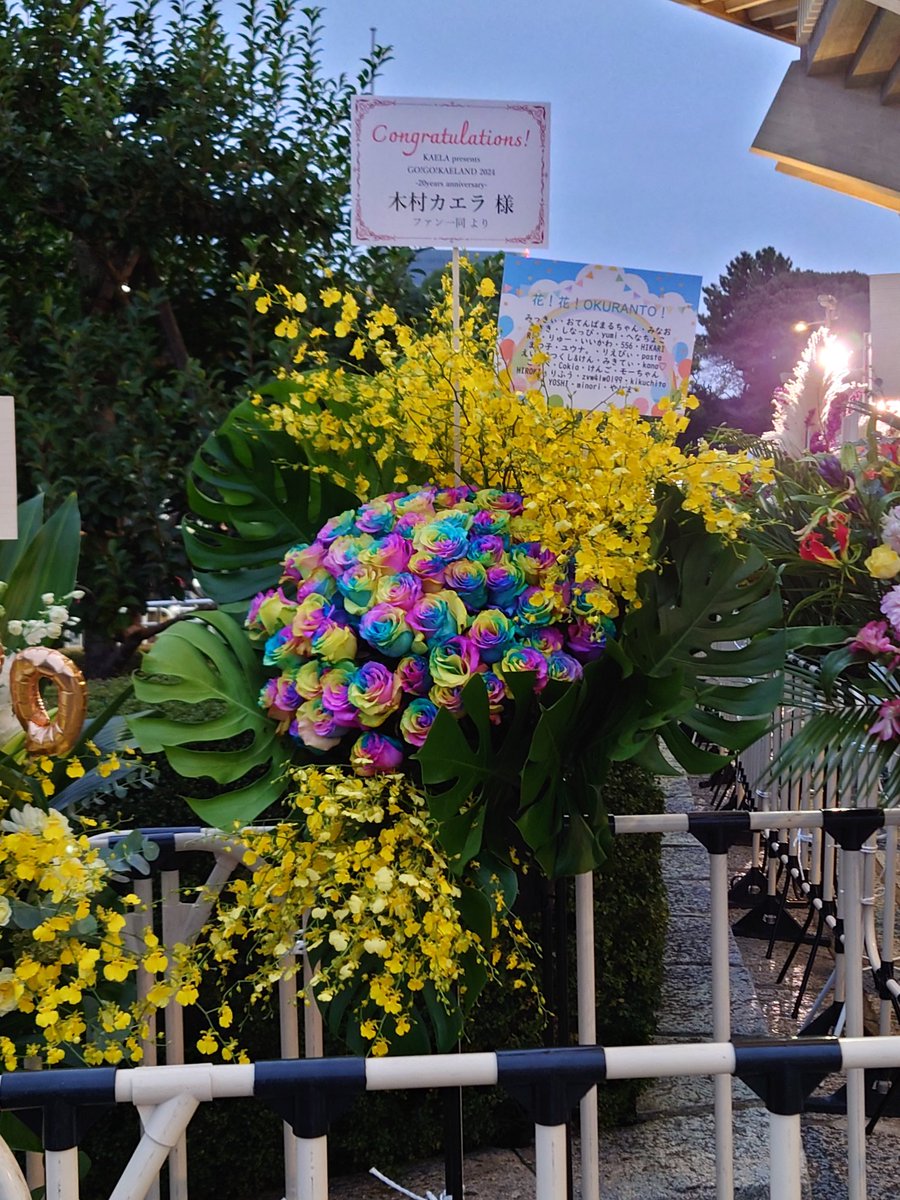 やじま@トロピカってる tweet media