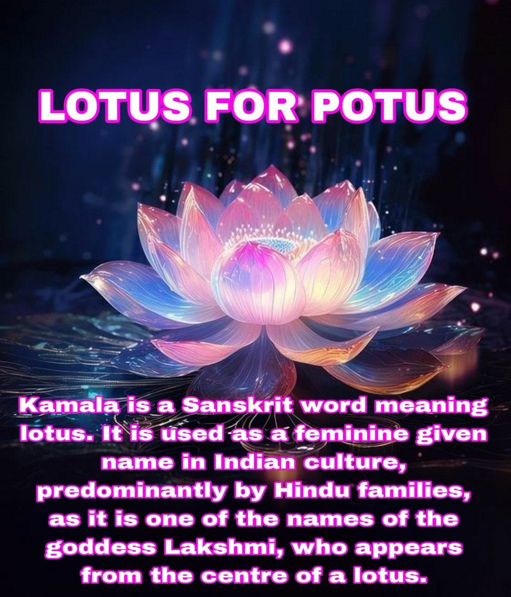 Hilltop__Leader's tweet photo. Happy Saturday. The ball of anxiety is a boulder. I do believe we are going to kick ass! 💙👊🌊 #LotusForPOTUS https://t.co/INjks94b3a