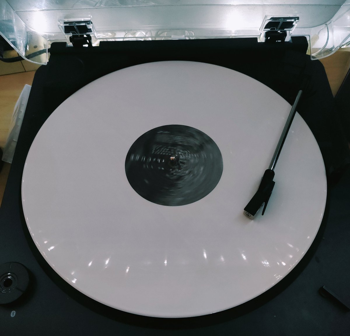 michelle jacques tweet media