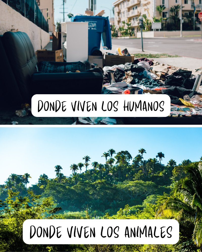 EcoInventos tweet media