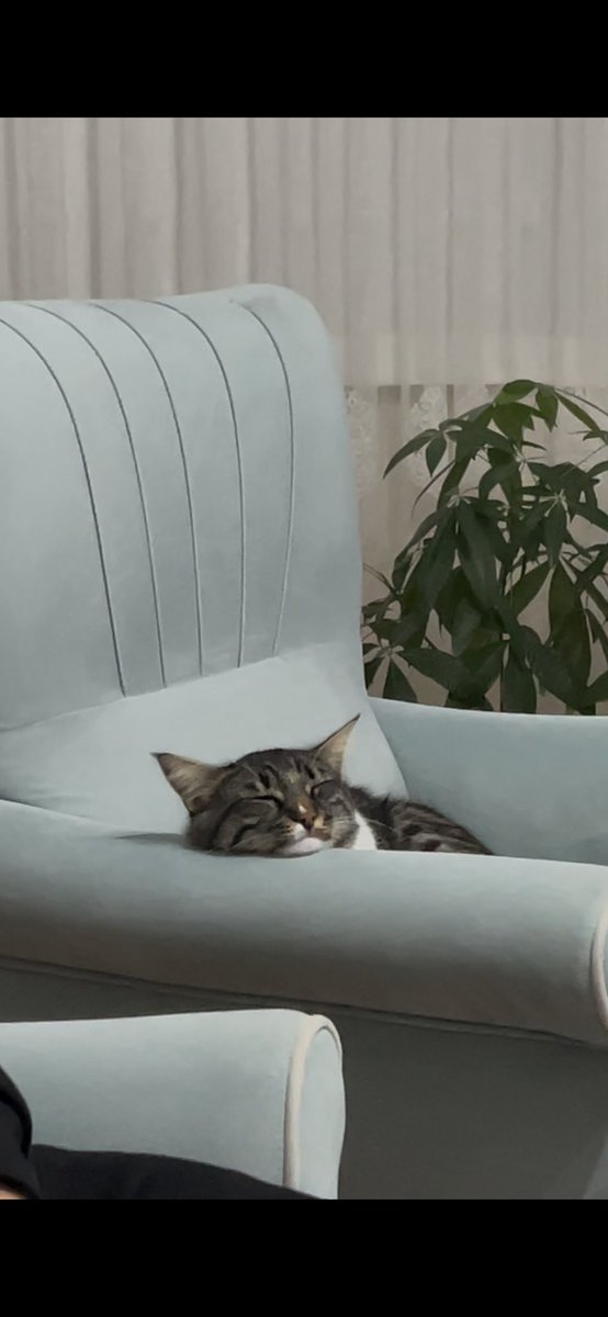 Burnumun tamamına kartuş yetmemişti maalesef 😔