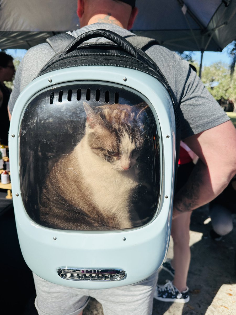 Ahead of elections, here’s a picture of a cat visiting a Farmers Market in a hardshell backpack. You’re welcome.