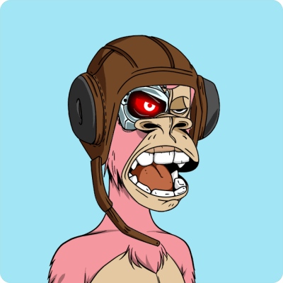 Owen Barnes tweet media